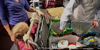 Fits easily in the grocery cart.